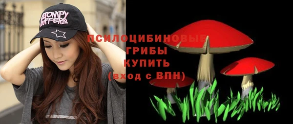 прущие крисы Гусь-Хрустальный