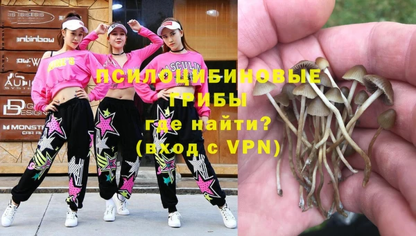 прущие крисы Гусь-Хрустальный