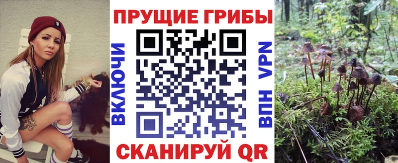 Псилоцибиновые грибы GOLDEN TEACHER  Купить  Кирсанов 