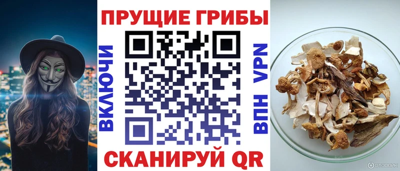 Галлюциногенные грибы Magic Shrooms Кирсанов
